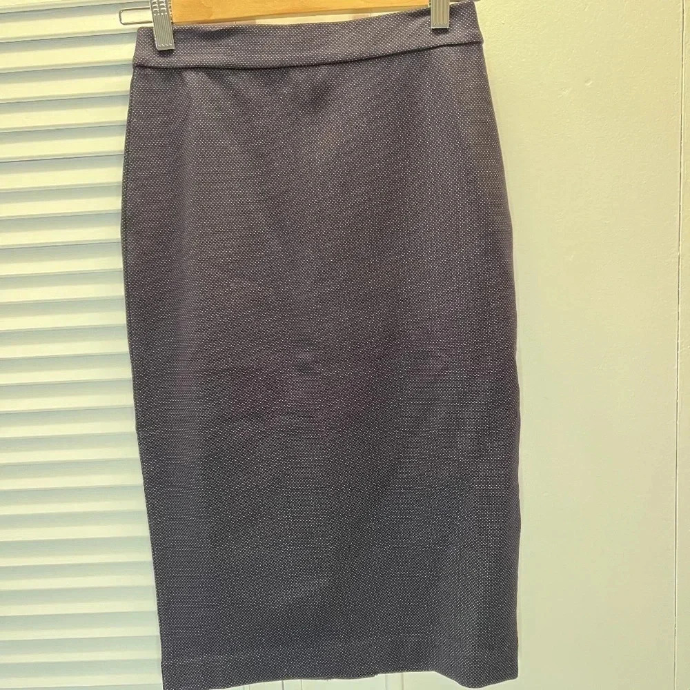 Banana Republic  Skirt